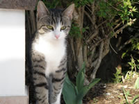 putzi_neu_front_kl